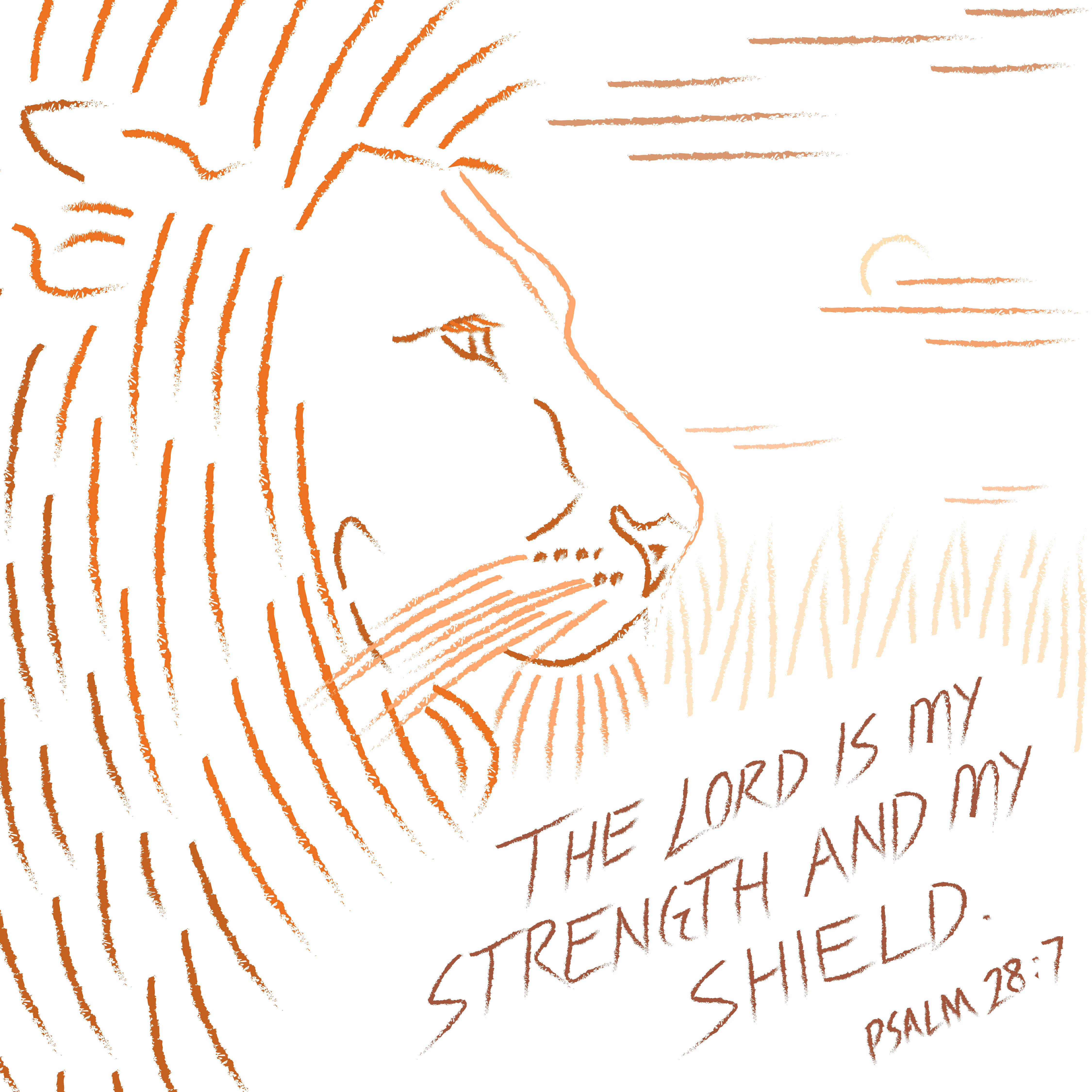 Pencil drawing of lion in field.