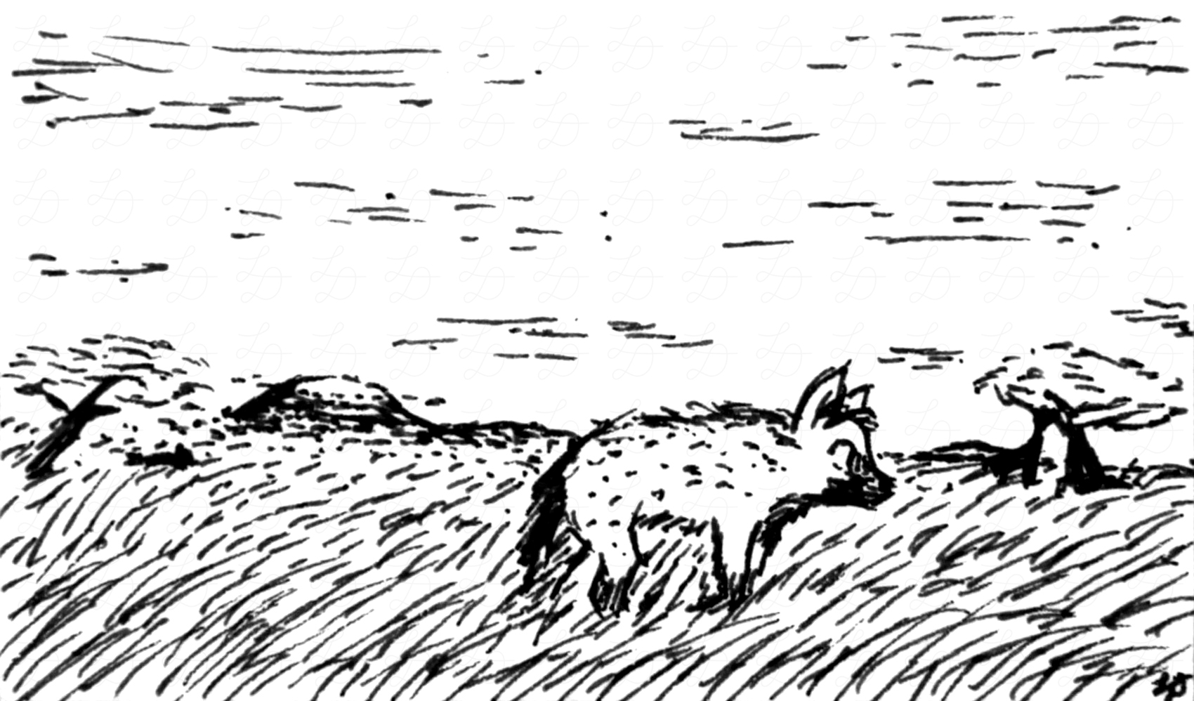Ink drawing of hyena walking across the savanna.